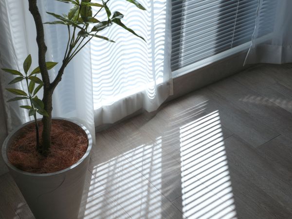 カーテンとブラインドを併用した写真