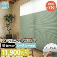 夏におすすめ！ツインハニカムスクリーン