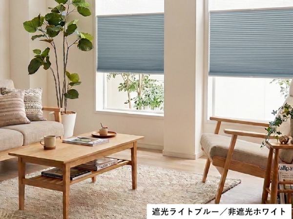 遮光タイプと非遮光タイプのハニカムスクリーンが入る北欧インテリア