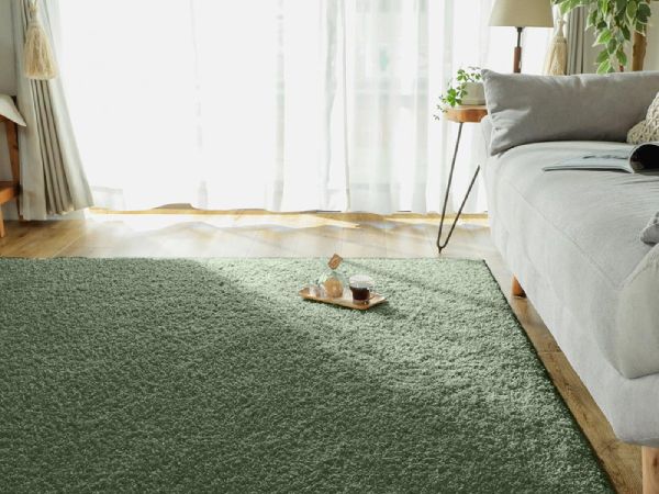 深緑のラグが敷かれた部屋