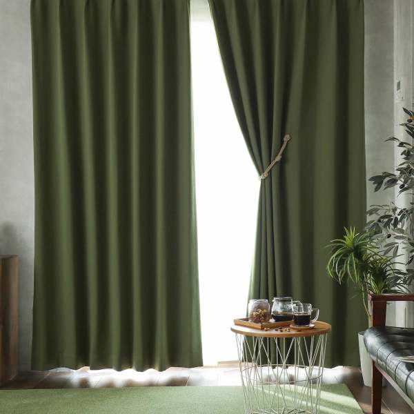 グリーンのカーテン『パレット』