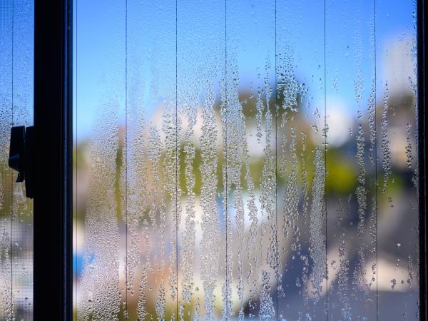 窓の結露