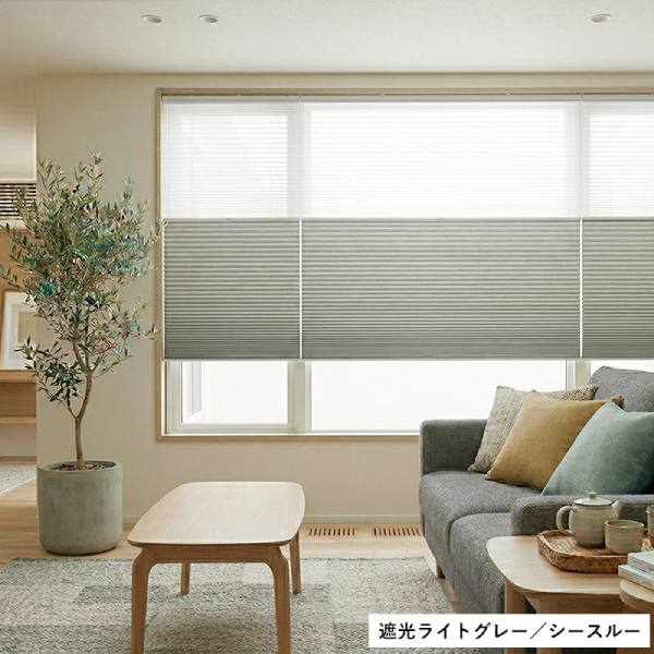 西日対策におすすめなツインタイプのハニカムスクリーン