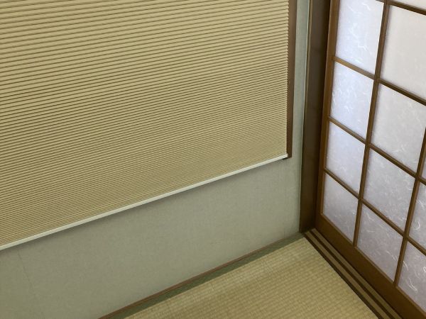畳とハニカムスクリーンの相性